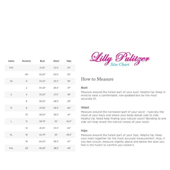 Lilly Pulitzer Delia Shift Dress in Big Flirt Floral Print Size 4 Cotton Lined - Picture 11 of 11